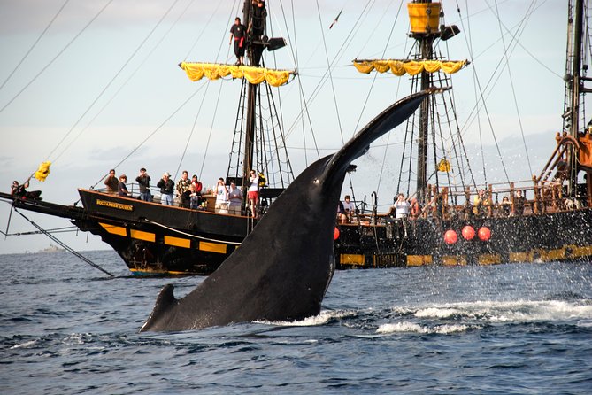 Whale-Watching Pirate Ship Cruise in Los Cabos - Pirate entertainment, dancing, and family appeal