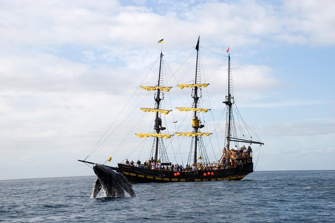 Whale-Watching Pirate Ship Cruise in Los Cabos - Is $99 a fair price for two hours?
