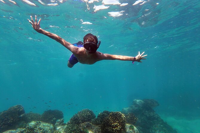 Whale Watching & Snorkeling Combo in Los Cabos with Photos Included - Key reasons to consider this Cabo combo tour