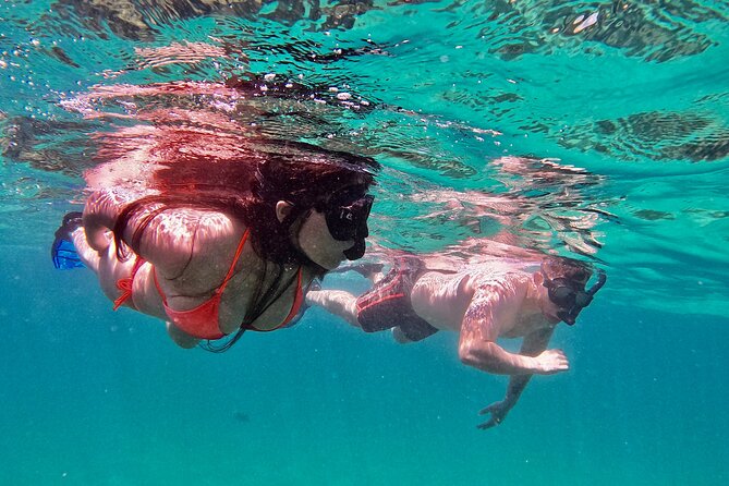 Whale Watching & Snorkeling Combo in Los Cabos with Photos Included - The first two hours: watching whales near Cabo