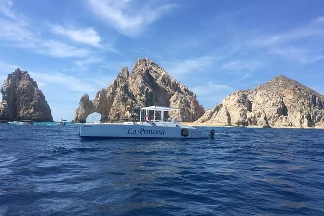 Whale Watching Tour in Los Cabos - Food, drinks, music, and the social mood