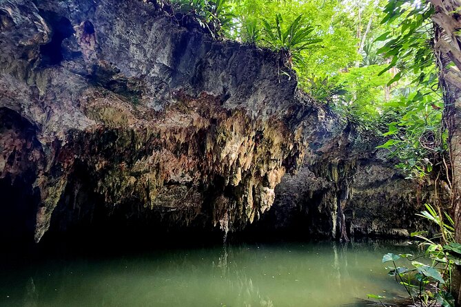 Wild Jade Cavern ATV Tour With Transfer - Who Will Enjoy This Cozumel ATV Tour