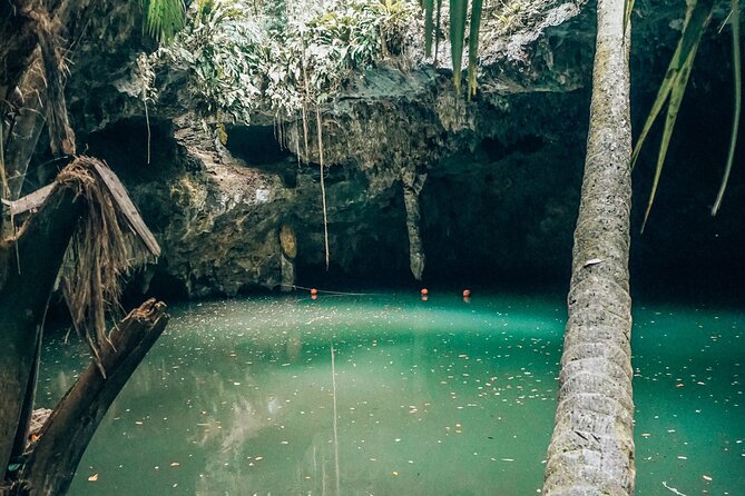 Wild Jade Cavern ATV Tour With Transfer - Riding the Cozumel Jungle Trails