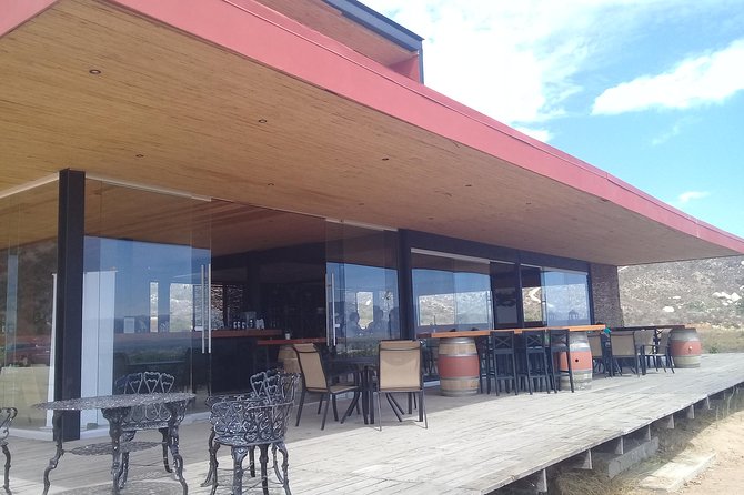 wine tours and driver service through valle de guadalupe, Ensenada B.C. Mexico - What this private service really offers