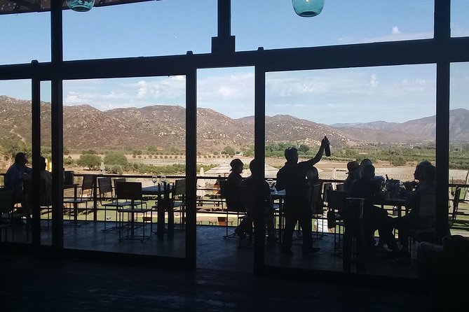 wine tours and driver service through valle de guadalupe, Ensenada B.C. Mexico - Who will get the most from this tour?