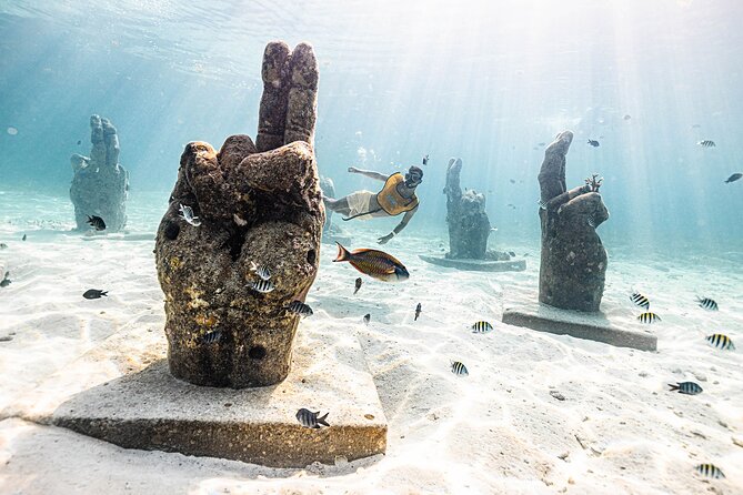 With Turtles, Shipwreck, Cenote, and Reef and Transport Included - The cenote and possible turtle sightings