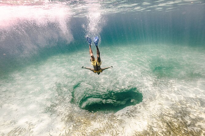 With Turtles, Shipwreck, Cenote, and Reef and Transport Included - The small group changes the experience