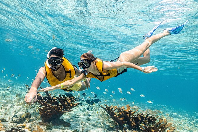 With Turtles, Shipwreck, Cenote, and Reef and Transport Included - Hotel transport saves time and hassle