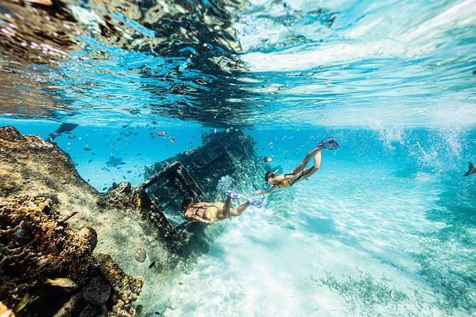 With Turtles, Shipwreck, Cenote, and Reef and Transport Included - What the $79 price really covers