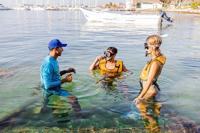 With Turtles, Shipwreck, Cenote, and Reef and Transport Included - The first reef is friendly to beginners