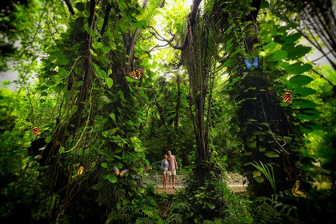 Xcaret Park Day Trip, transportation and Cultural Night Show - Maya sites and Mexican culture in the park