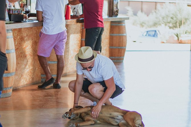 Xecue Wine Tasting in the Guadalupe Valley - Adding the cheeseboard and grilled beef ribs