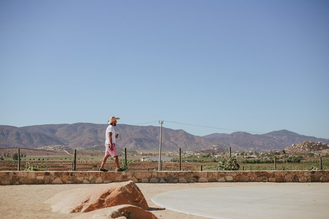 Xecue Wine Tasting in the Guadalupe Valley - How the one-hour format works for a wine-country day