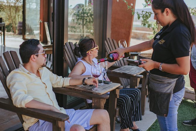Xecue Wine Tasting in the Guadalupe Valley - The value of a small group and personal guidance