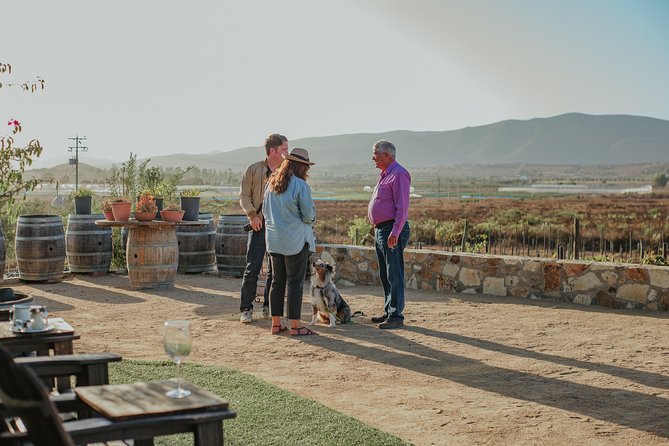 Xecue Wine Tasting in the Guadalupe Valley - Who will enjoy Xecue most
