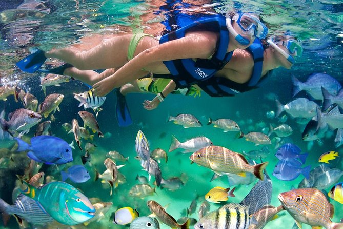 Xel ha All Inclusive - Key things to know before booking