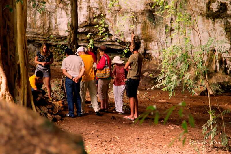 Xkopek, Mayan Bees Tour and Honey Tasting in Valladolid - Following the honey plants through the jungle path