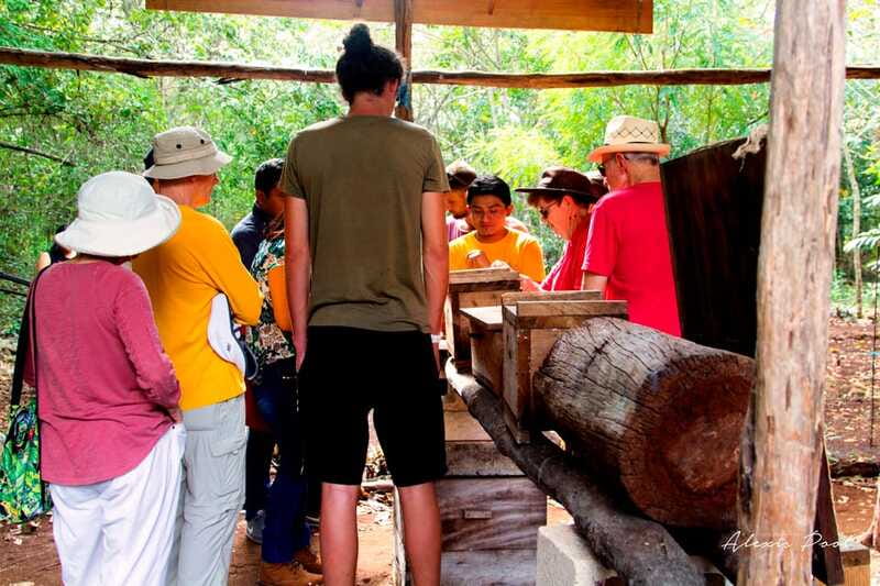 Xkopek, Mayan Bees Tour and Honey Tasting in Valladolid - My practical verdict on this bee tour
