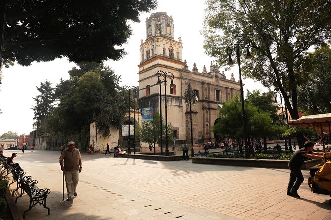 Xochimilco, Coyoacan and Frida Kahlo with Optional Lunch - Lunch, shopping, and the extras