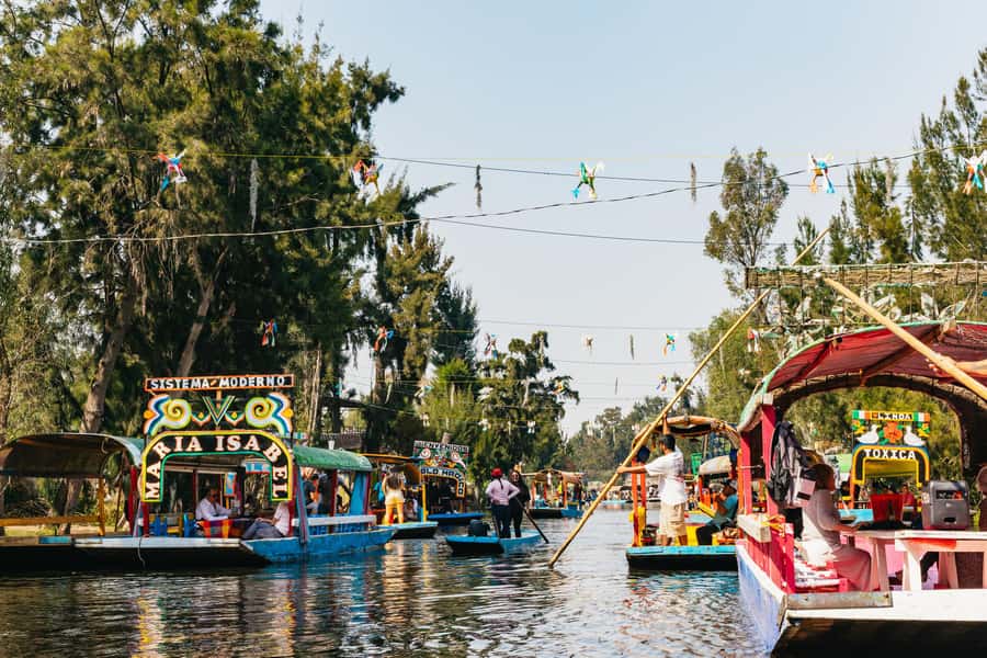 Xochimilco: traditional boat tour, culture, and fun. - Tequila, pulque, mezcal, and the Michelada