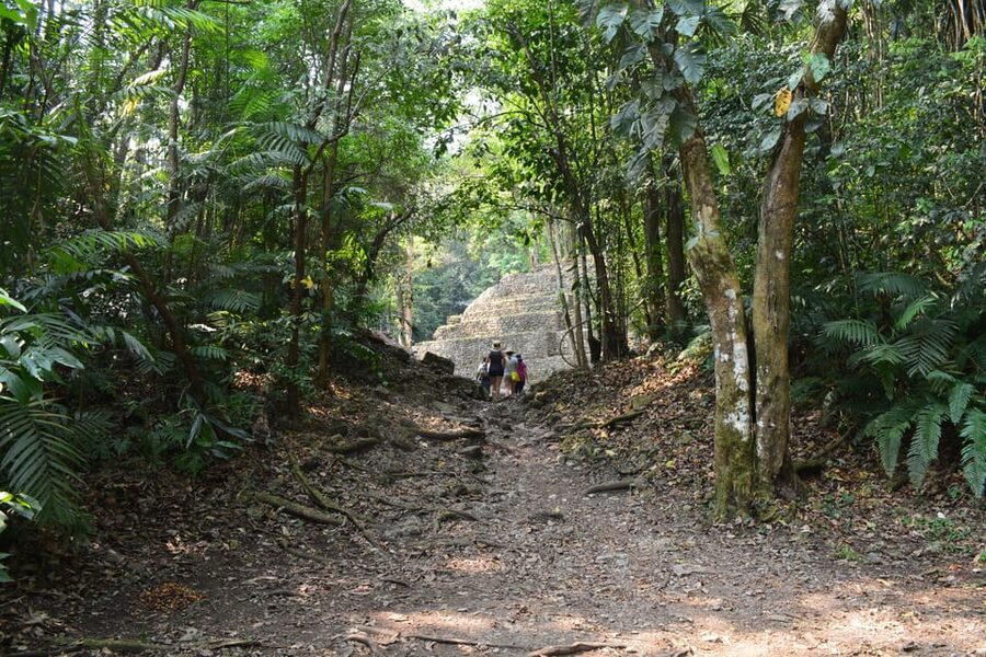 Yaxchilan & Bonampak Ruins and Lacandon Jungle from Palenque - Who should take this excursion?