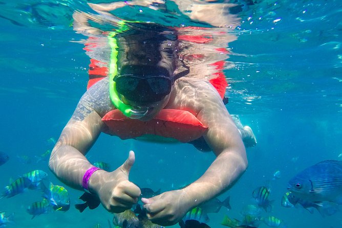 Yelapa Waterfall, BBQ at Exclusive Majahuitas Beach & Open bar - Snorkeling in Banderas Bay