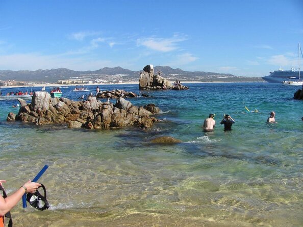 ZODIAC Whale Watch Tour | Cabo San Lucas | Biologist | FREE Pics - Key things to know before you book