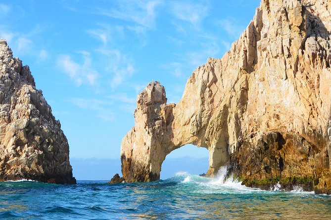 ZODIAC Whale Watch Tour | Cabo San Lucas | Biologist | FREE Pics - Timing, transport, and cruise-ship advice